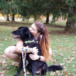 Meet your Posher, Sam